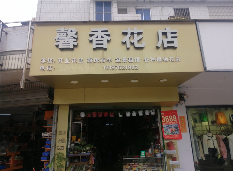 柳城馨香花店的图标