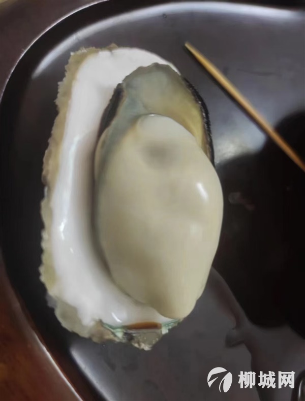 新鲜生蚝  14.5一件    26.8两件 明天早上8点半到货