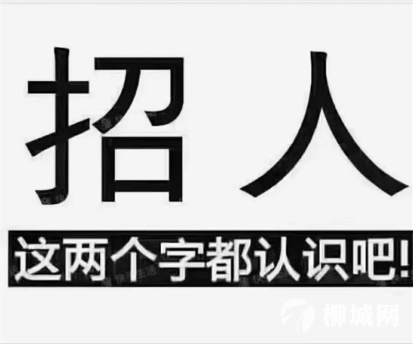君悦都汇招聘服务员