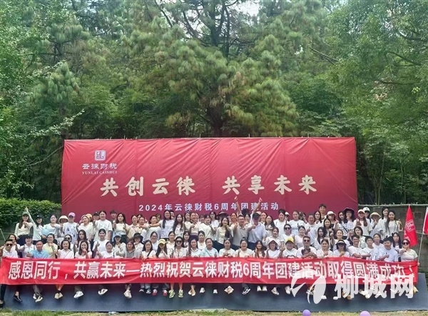 财税销售 会计助理