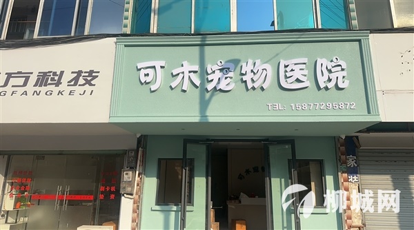可木宠物医院试营业啦！1月20日-1月27日全场商品8折