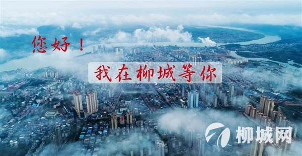 财税销售