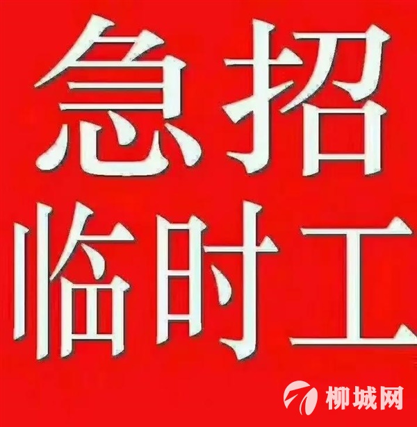 急招装箱临时工